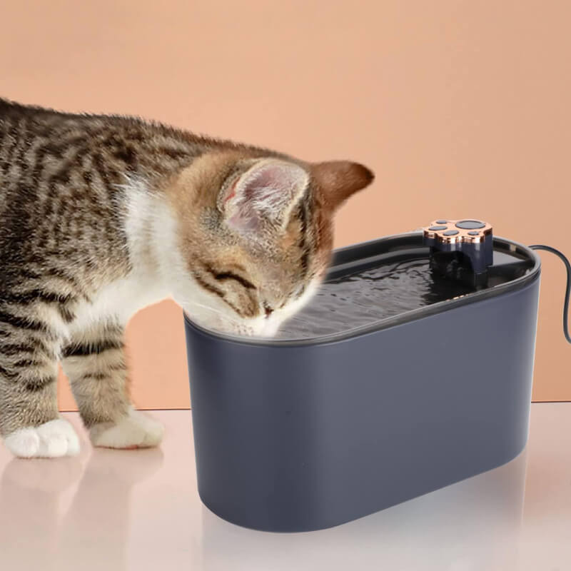 PetSafe - Automatic Pet Water LED Fountain