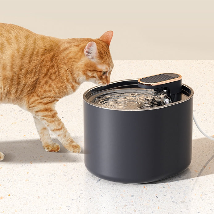 PetSafe - Automatic Pet Water LED Fountain